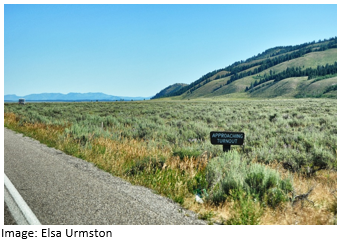 An approaching turnout sign by the side of a road