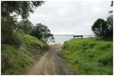 Track to the beach